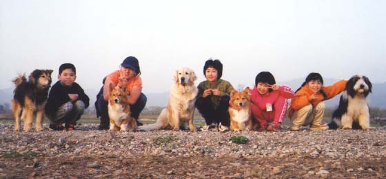 仲間と一緒に散歩したことを楽しく思い出していることでしょう