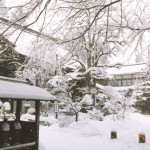 冬の本堂
