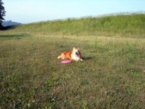 かって、みんなで遊んだ河川敷　　最後は一人残されたのでした。