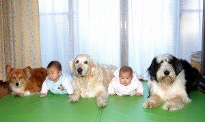 赤ちゃんもワンちゃんも四つん這いです。