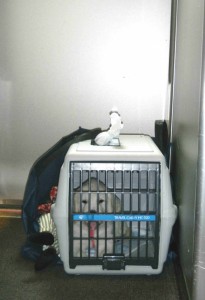 他の乗客の迷惑にならないようにデッキで帰りました