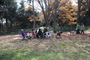 小春日和の中で楽しい食事です
