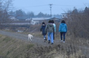 車や人が往来するところではリードを付けます