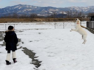 子供が投げた雪玉をジャンプしてキャッチ