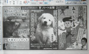 表紙の写真で購入される方もあるそうです