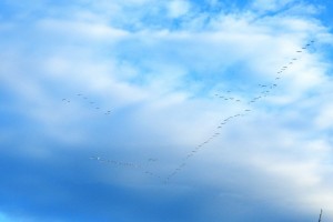 無事に帰れますように!