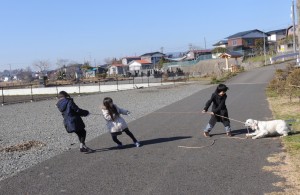 綱引きは大好きな野々花です