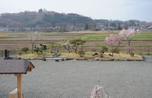 後ろに見える小高い丘が城山公園です