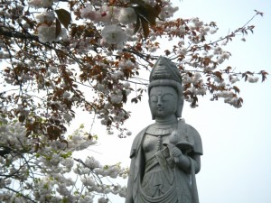 ワンちゃんたちにも微笑んでいるようです