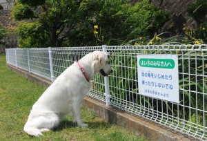 ジイーと見つめていました