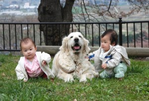 この写真を、本の裏表紙に使ってもらいました。