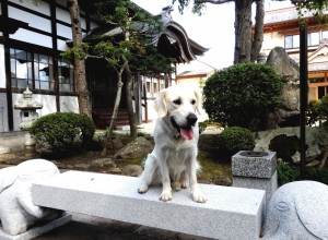 1才も過ぎたので、大きな声にもびびりませんでした。