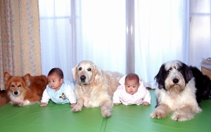 梅ともも子とバッハと双子(6ヶ月)