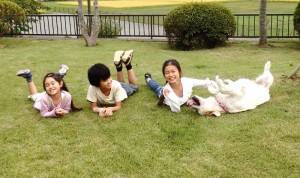 左から、ひかる(7才)、太郎(11才)、かれん(11才)、野々花(1才)