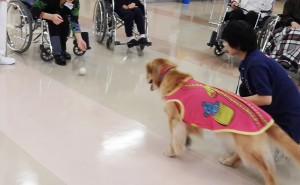 アロアちゃんの集中力はすごいです