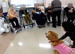 アロアちゃん、入所者の方が投げたボールをキャッチする