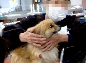 優しく見つめ合う