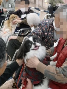 ワンちゃんの温もりが心を暖かくします