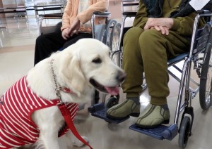 野々花、もう一歩入所者の方に近づければいいのですが