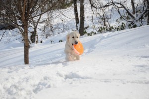 投げる軌道が不安定なので、不満顔。