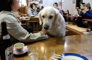 ビールを見つめる野々花