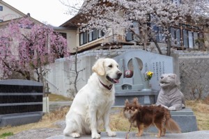 色も大きさも違う凸凹コンビです