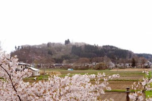 ピンクに染まった全景