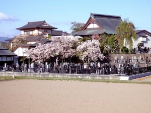 中央に観音像が見えます