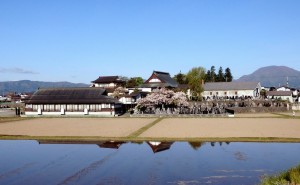 左に見えるのが会館、中央に見えるのが本堂