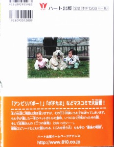 真ん中がもも子(13歳)、左がかれんちゃん(10ヶ月)、右が太郎くん