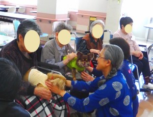 小型犬は抱っこされ、可愛がってもらいました。