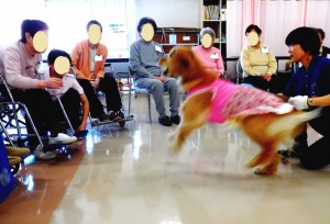 投げたボールを上手にキャッチ。