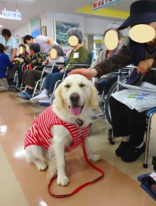 頭を撫でられて満足そうな野々花です。
