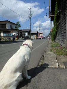 山車を見送る野々花