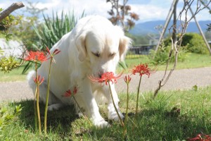 野々花に「毒があるよ!」と注意する