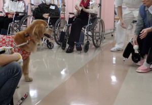 アロアちゃんは、得意のボールキャッチ。真剣にボールを見つめる
