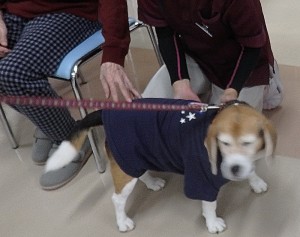マイペースのクーチャンです