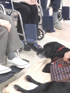 15才のマコちゃんは、横たわっているだけでも、存在感があります