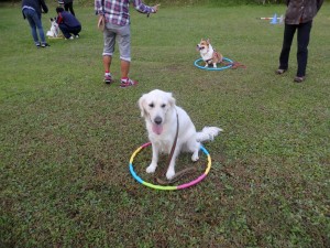 野々花も何とか出来ました