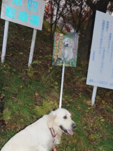 入り口に、立てられている「もも子の看板」