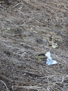 土手の下にあるゴミ(肥料袋)