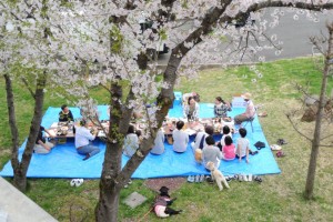「おっぽの会」のお花見会