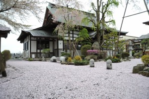 本堂前の花びら