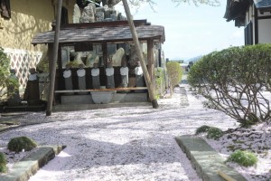 お地蔵さん前の花びら