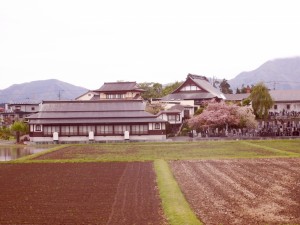 伽藍の後方から撮影