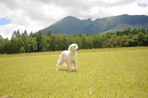 岩手の霊峰、岩手山をバックにワンショット。