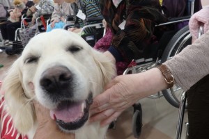 なでられて、エヘヘと笑う野々花です。