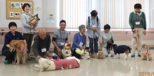 本日参加したワンちゃんの集合写真。野々花、寝そべって態度が悪い!