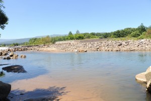 対岸まで泳ぐ。向こうに見えるのは「妻の神広場キャンプ場」です。