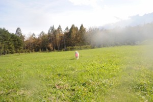 近くの「県民の森」でフリスビーで遊ぶ。